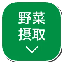 野菜摂取